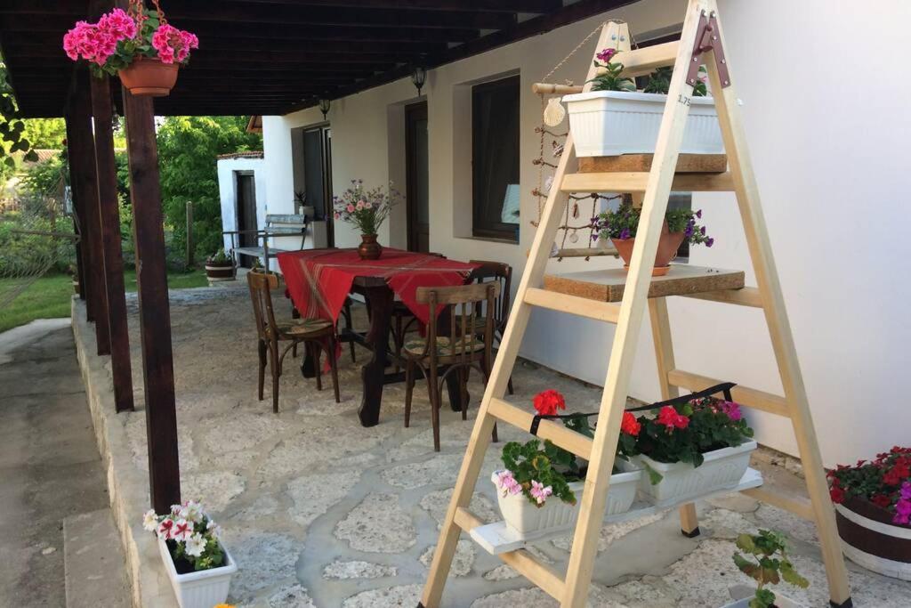 Guest House Kostadinovi Bŭlgarevo المظهر الخارجي الصورة
